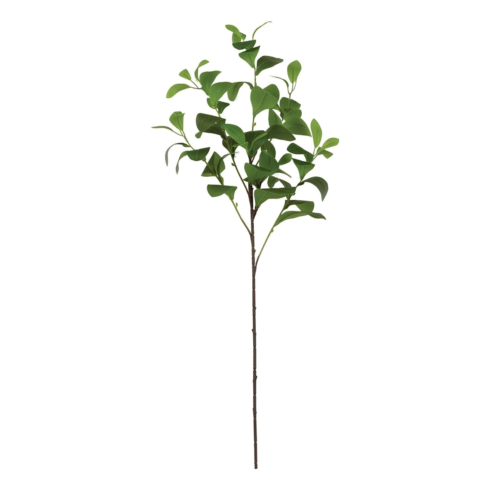Paddle Tags Green Paddle Leaf Spray – 36